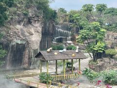 -广州莲花山旅游区