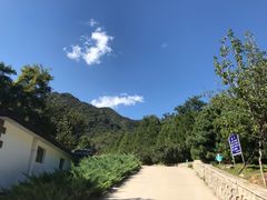 -北京鹫峰国家森林公园