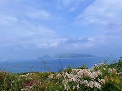 -东澳岛
