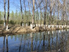 -东郊湿地公园