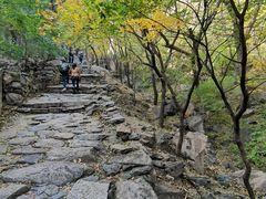 -北京鹫峰国家森林公园