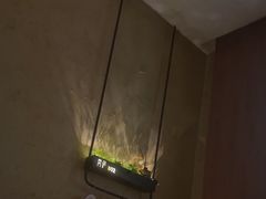 -新紫霞养生·影院足道·SPA(金山区店)