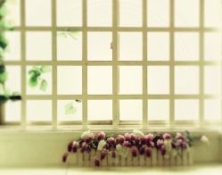 -邦叔叔.亲子全家福毕业照跟拍摄影(嘉定店)