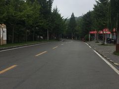 -洛阳白云山景区