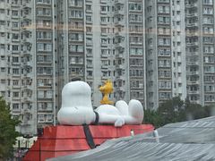 -新城市广场