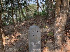 -梧桐山风景名胜区