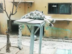 -青藏高原野生动物园