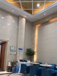 -碧莲盛·不剃发植发