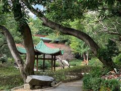 -九龙公园