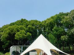 -同里国家湿地公园