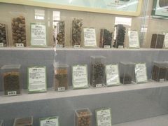 -北京中医药大学-中医药博物馆
