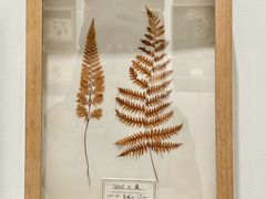 -时代美术馆-成都馆