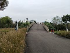 -眉山湿地公园(东坡区)