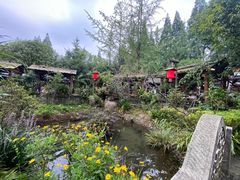 -青城甲(青城山店)