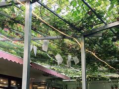 -伊隆斋(什刹海店)