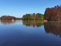 -上海海湾国家森林公园