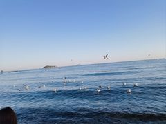 -银沙滩浴场