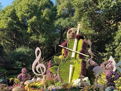-杭州植物园