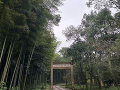 -黄公望隐居地