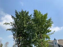 -四川大学(望江校区)