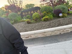 -新江湾城公园