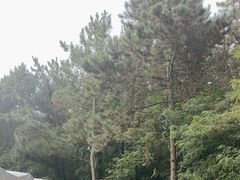 -棒棰岛宾馆景区