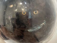 -荔康动物医院(康王北路店)