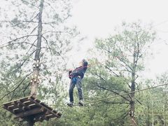 -梦幻奥陶纪景区