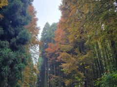 -山王坪喀斯特国家生态公园
