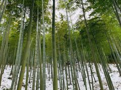 -江南天池