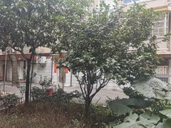 -中南大学湘雅二医院