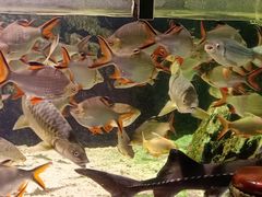 -太平洋海底世界