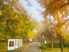 -国家植物园南园