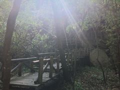 -丹东天桥沟景区