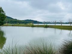 -池州市平天湖风景区