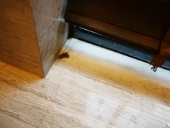 -广州从化都喜泰丽度假温泉酒店