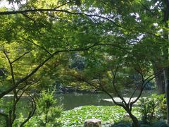 -灵谷景区