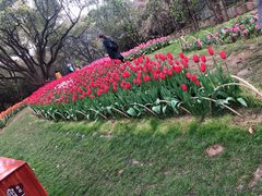 -无锡梅园公园