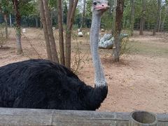 -大连森林动物园