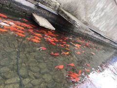 -前童古镇