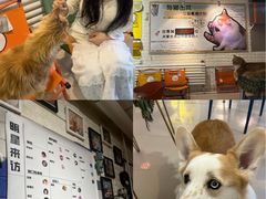 -平行世界·猫咖(首经贸店)