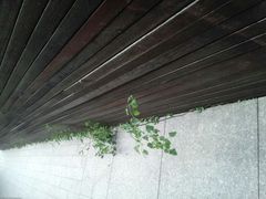 android_upload_pic-嘉善老市