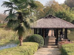 -浙江宾馆·花园餐厅·自助餐厅·茶吧