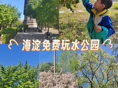 -玲珑塔公园