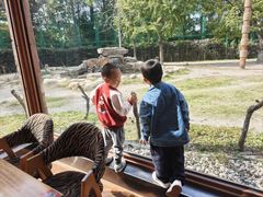 -上海野生动物园老虎餐厅