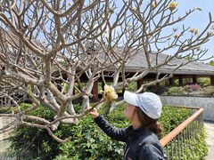 -日落吧·海景咖啡厅·餐酒吧·鸡尾酒·下午茶·乐队表演·浪漫夕阳·三亚文华东方酒店