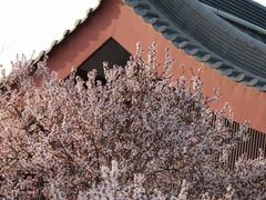 -西安碑林博物馆