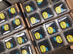 -上海龙吴水胜海发市场