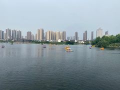 -洋湖国家湿地公园