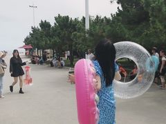 -日照海滨国家森林公园